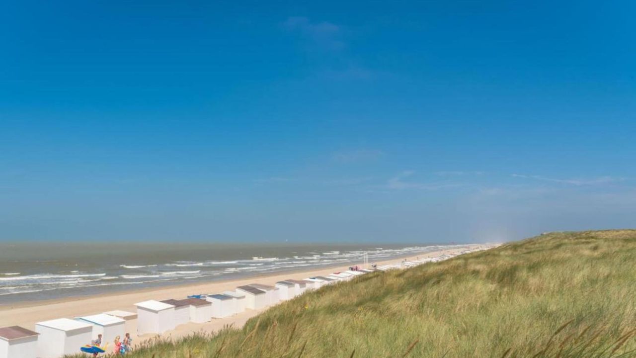 AreaSummer20KM AreaSummer20KM